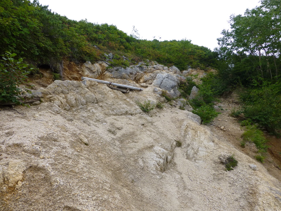 P1100481_mid.jpg