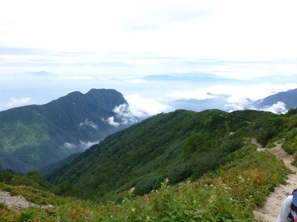 P1100512_mid.jpg