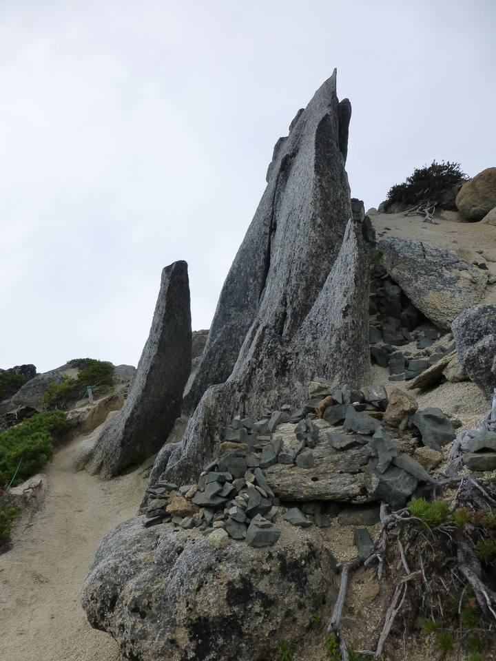 P1100544_mid.jpg