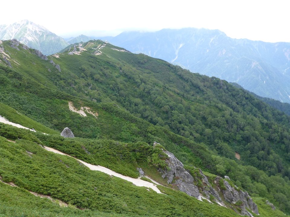 P1100600_mid.jpg