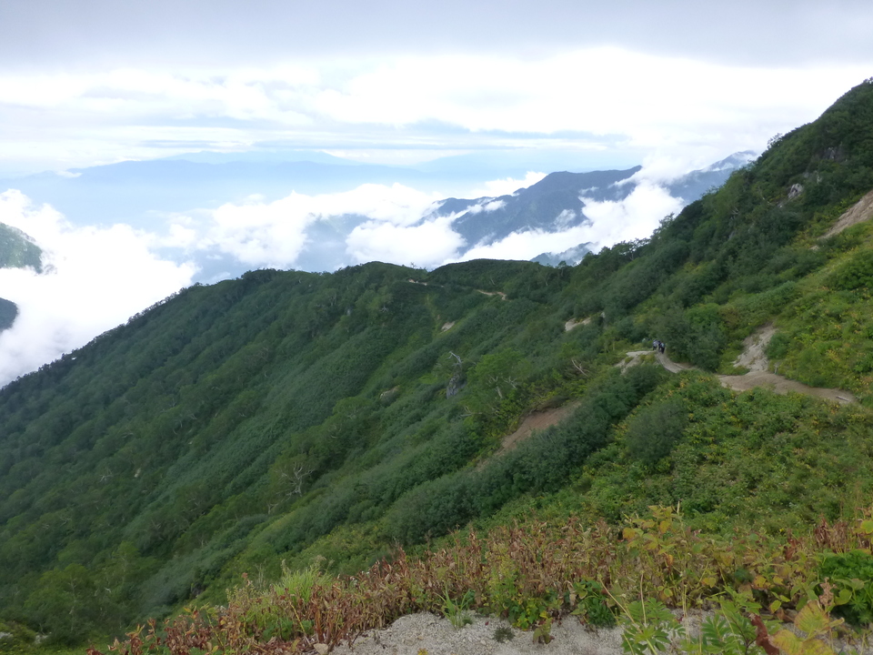 P1100612_mid.jpg