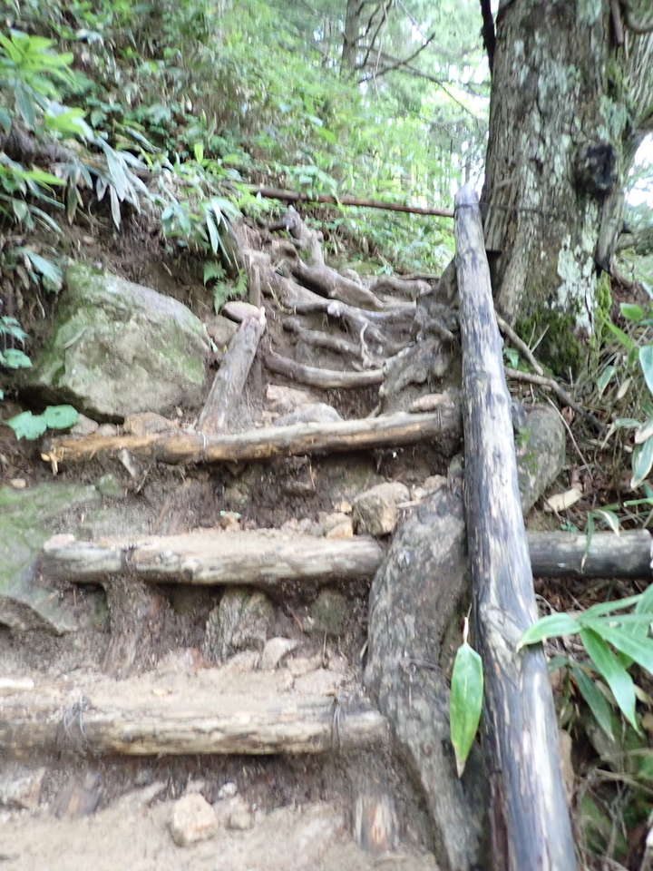 P9010078_mid.jpg