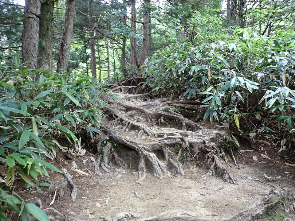 P9010085_mid.jpg