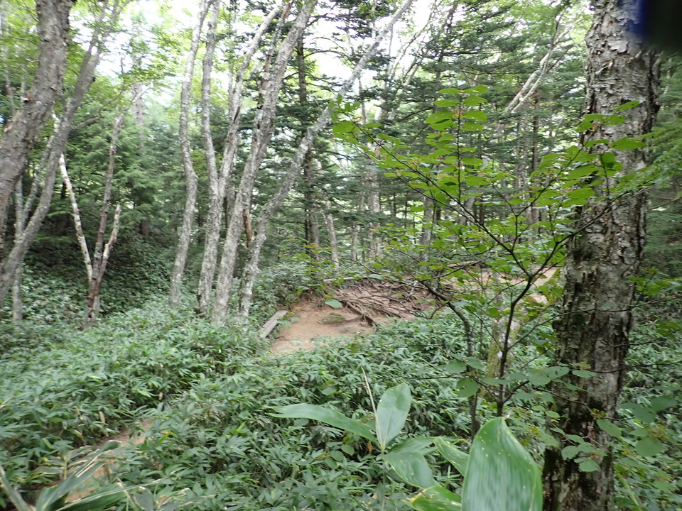 P9010088_mid.jpg