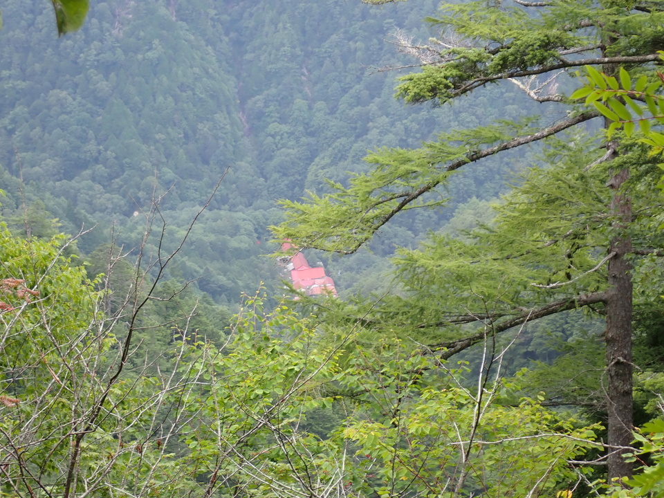 P9010122_mid.jpg