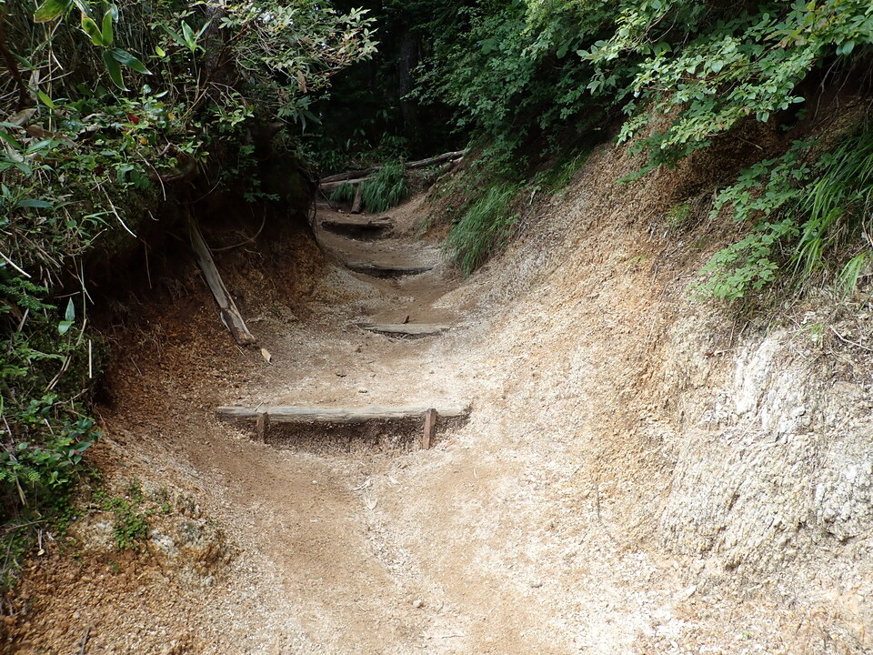 P9010142_mid.jpg