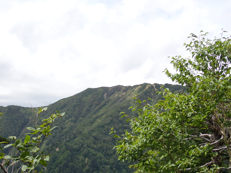 P9010184_mid.jpg