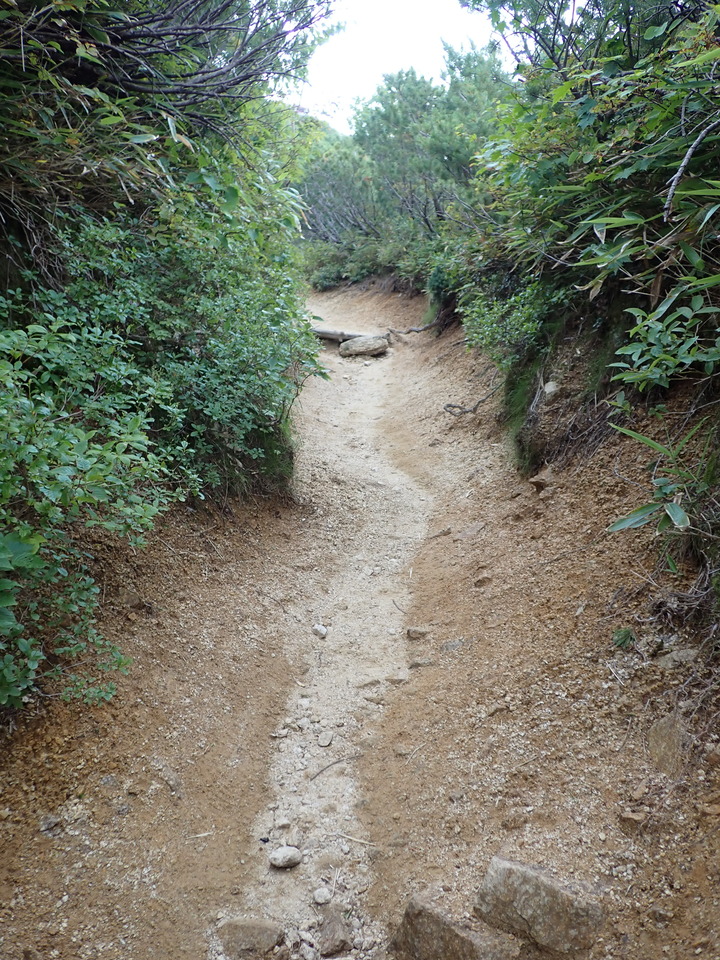P9010260_mid.jpg