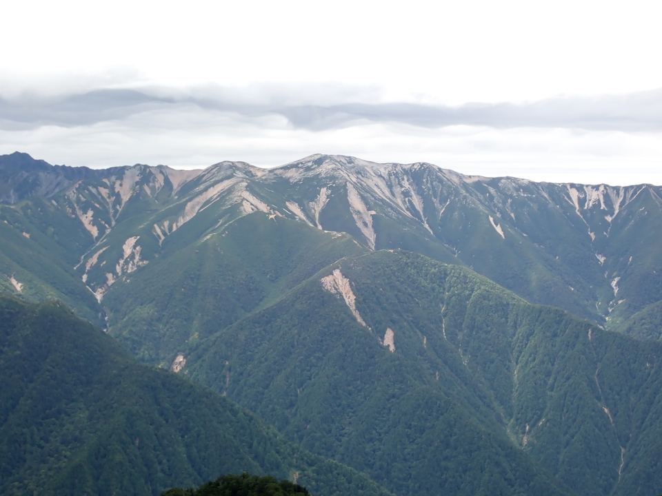 P9010290_mid.jpg