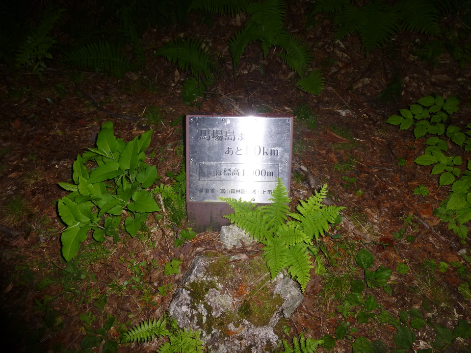 P1070649_mid.jpg