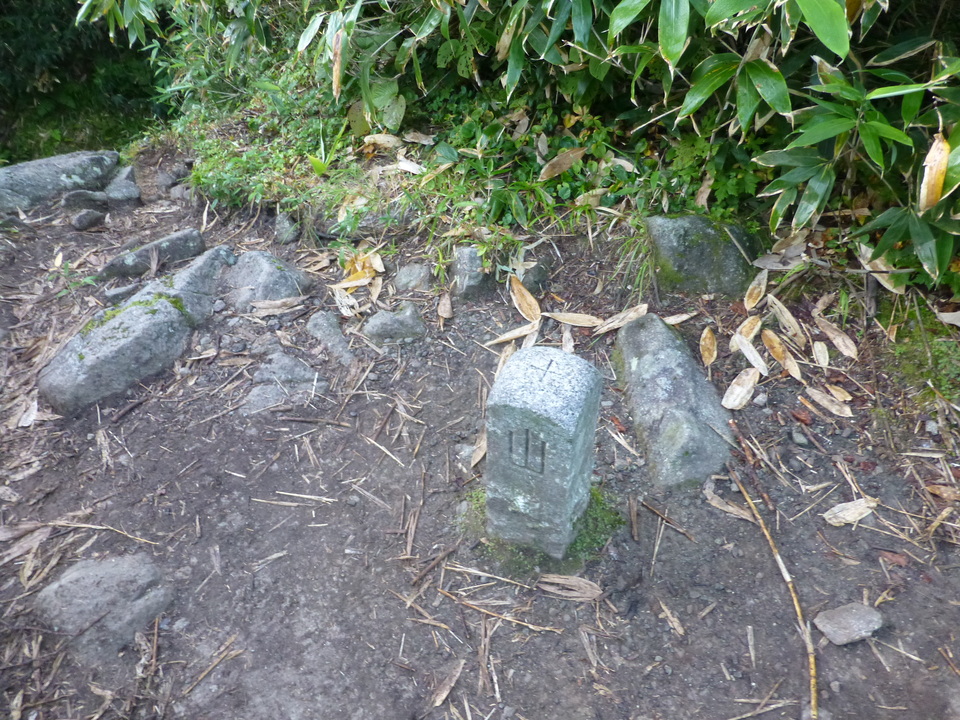 P1070662_mid.jpg