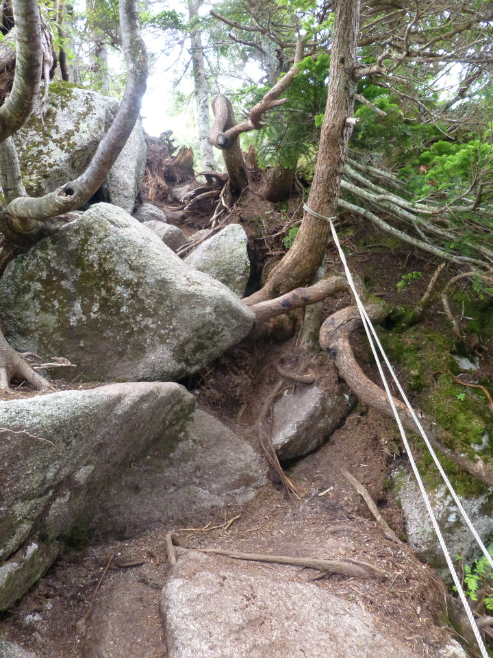 P1070681_mid.jpg
