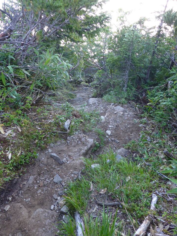 P1070708_mid.jpg