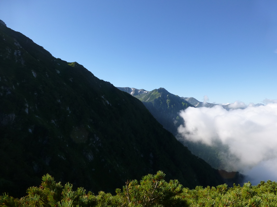 P1070720_mid.jpg