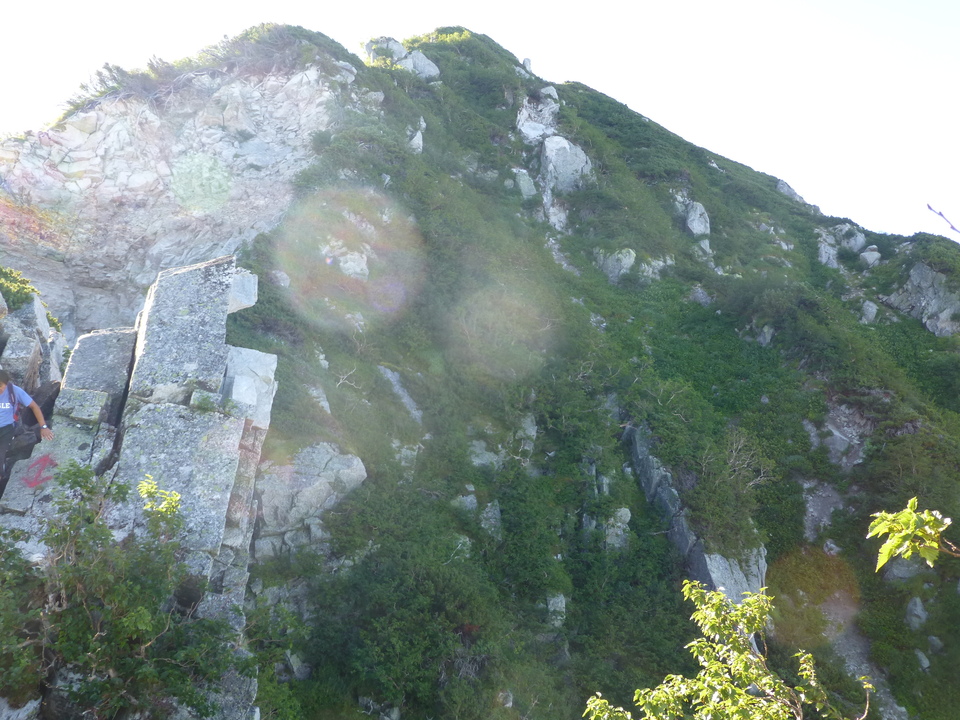 P1070725_mid.jpg