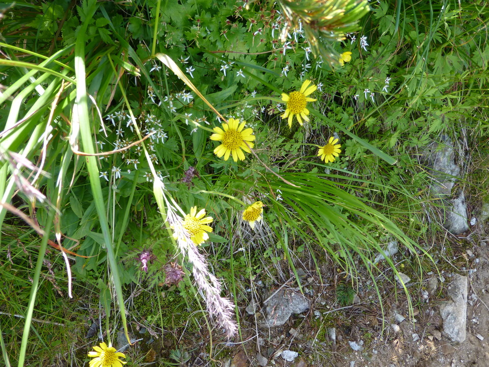 P1070801_mid.jpg