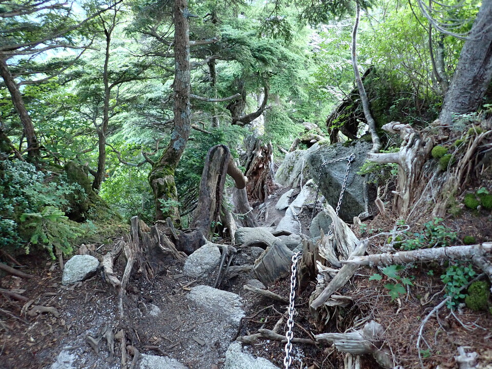 P8115772_mid.jpg