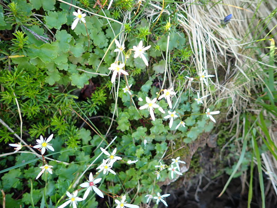 P8115922_mid.jpg