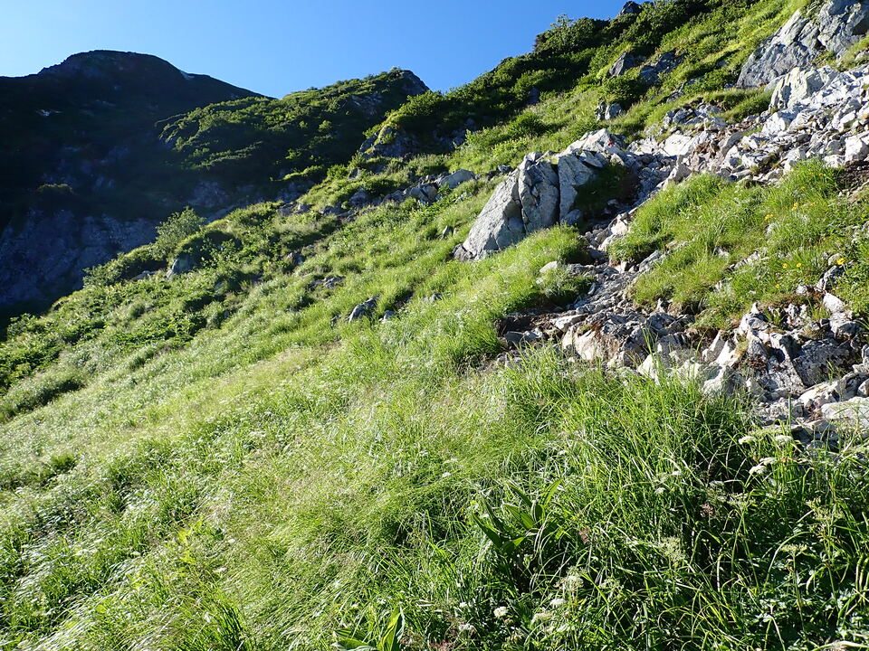 P8115944_mid.jpg