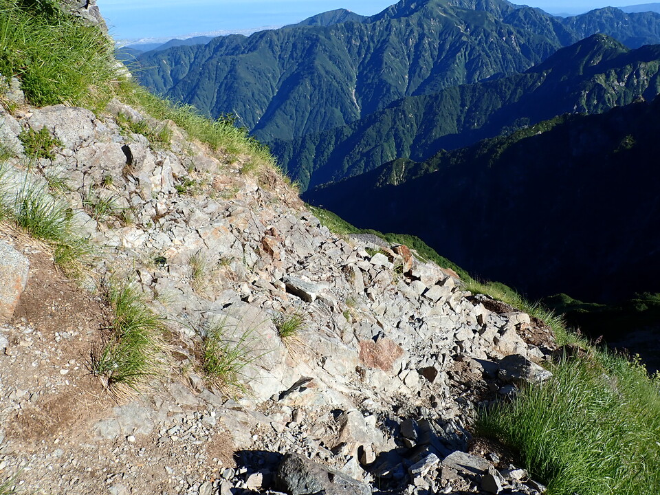 P8115953_mid.jpg