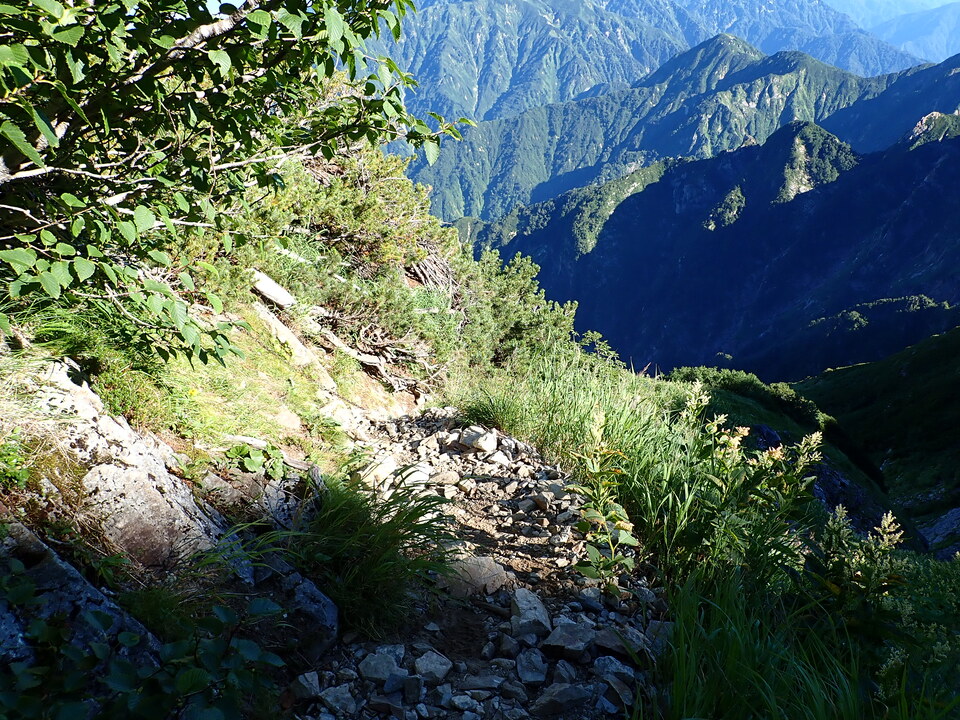 P8115968_mid.jpg