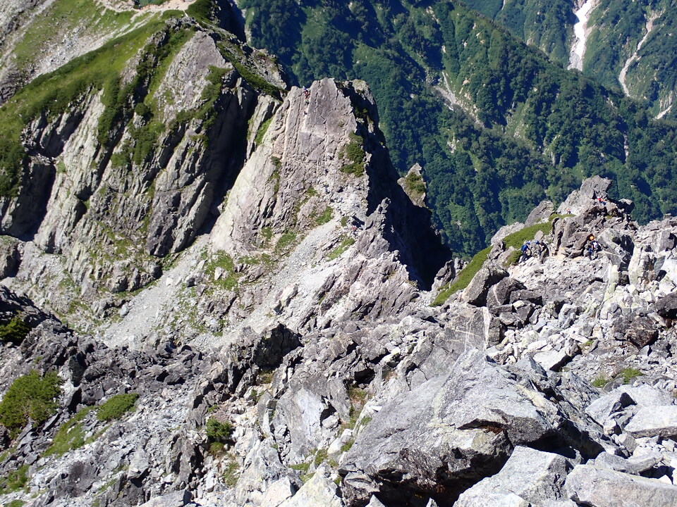 P8116028_mid.jpg