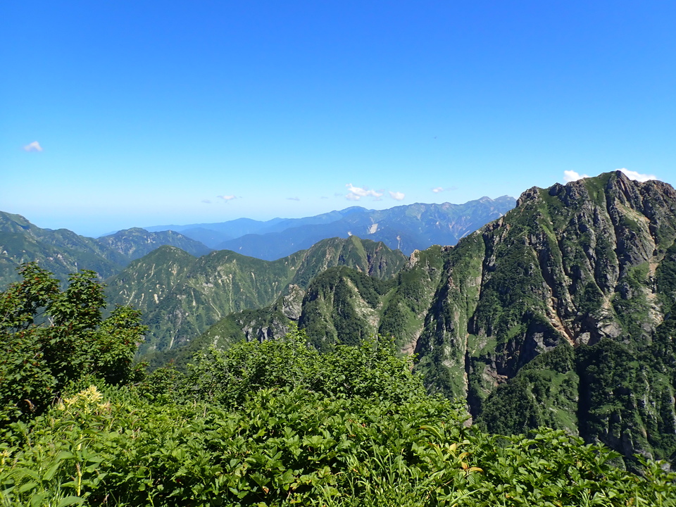 P8116079_mid.jpg