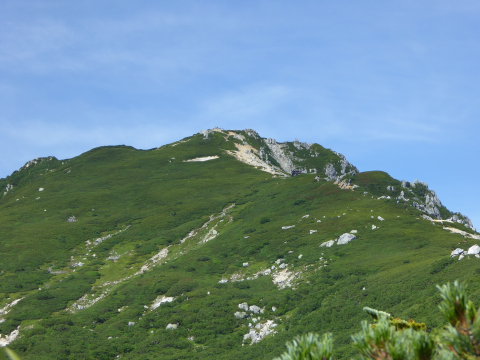 P1050217_mid.jpg