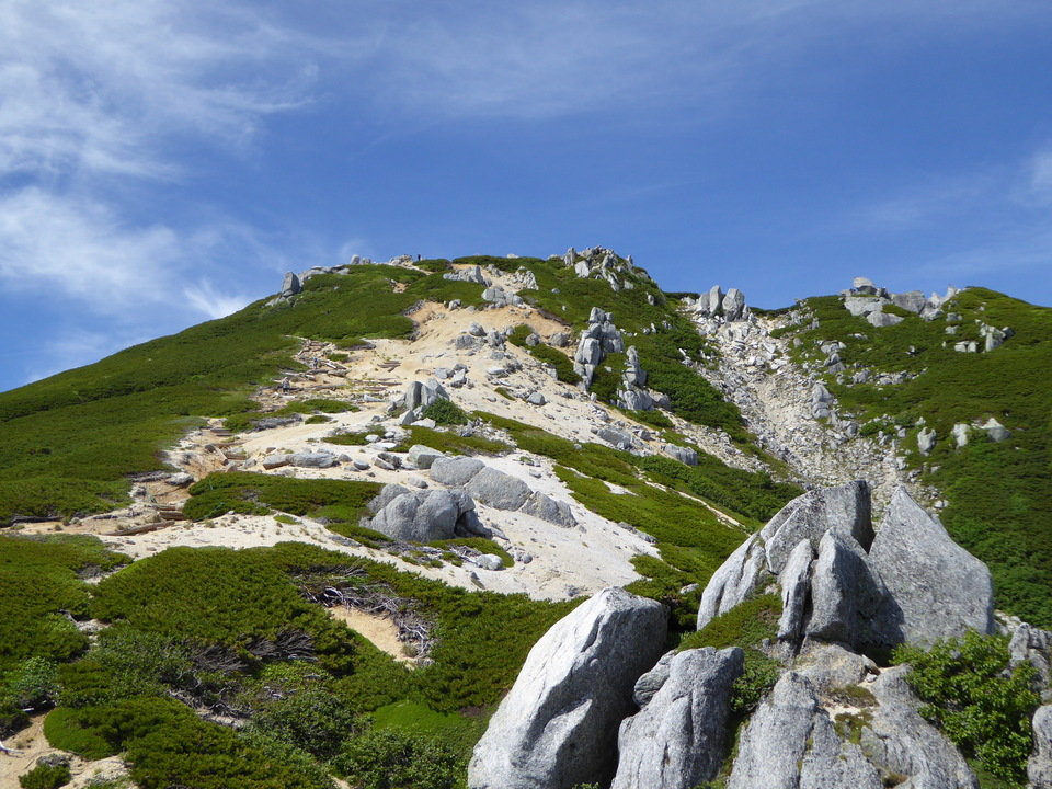 P1050280_mid.jpg