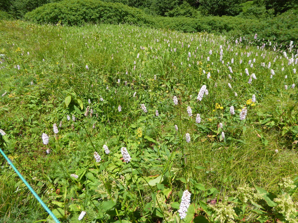 P1050307_mid.jpg