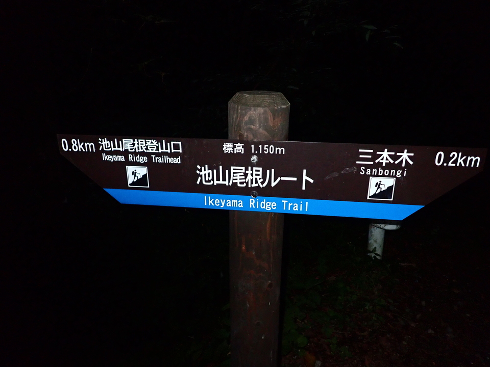 P8119039_mid.jpg