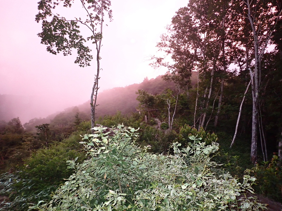 P8119047_mid.jpg