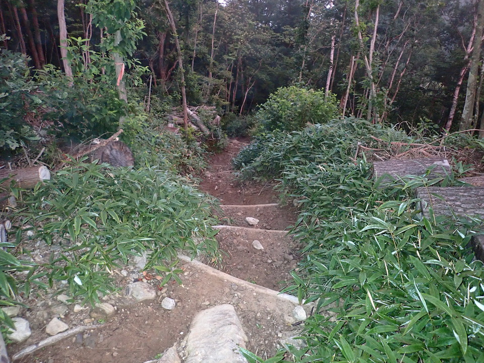 P8119048_mid.jpg