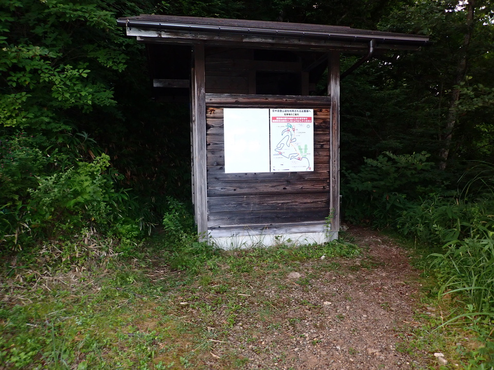 P8119053_mid.jpg