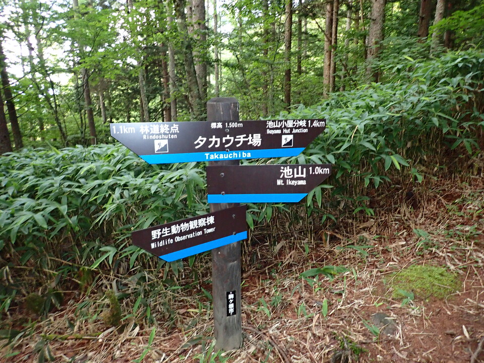 P8119066_mid.jpg