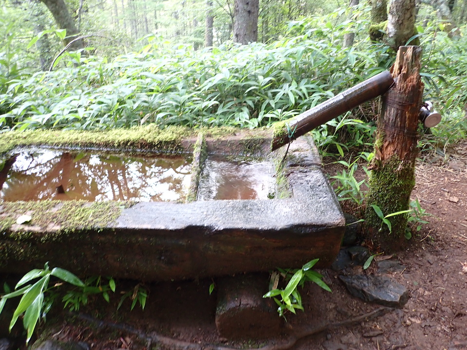 P8119078_mid.jpg