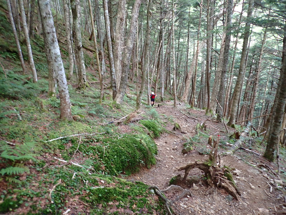 P8119095_mid.jpg