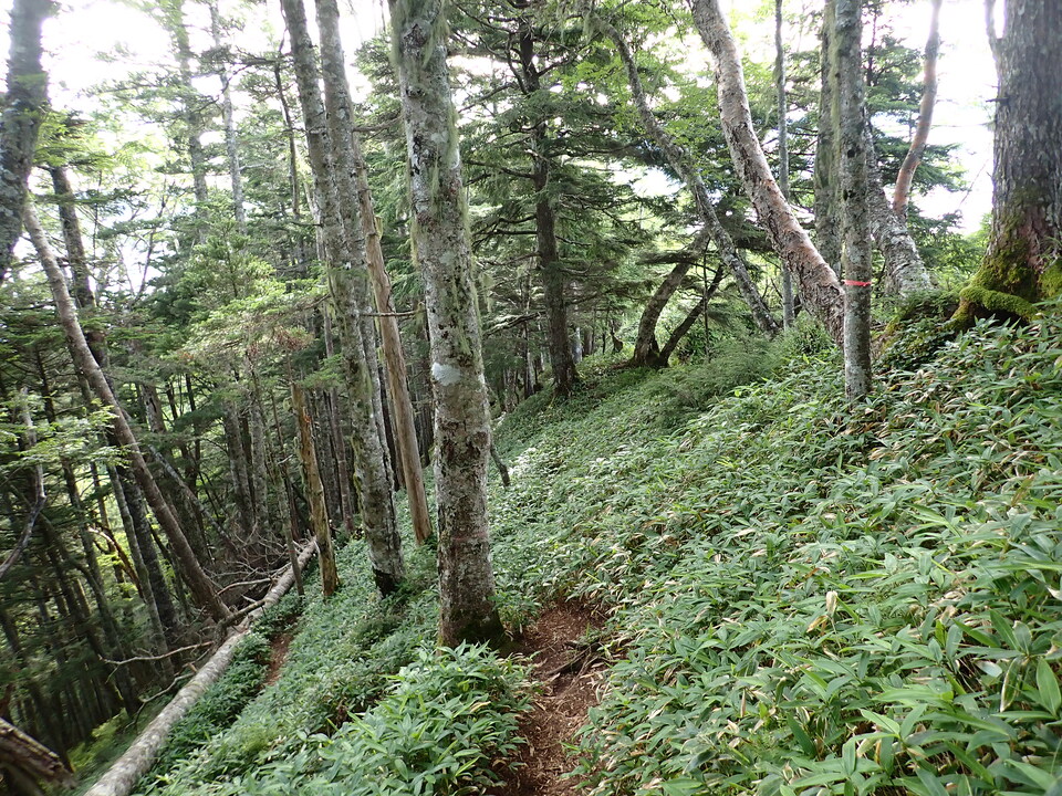 P8119109_mid.jpg