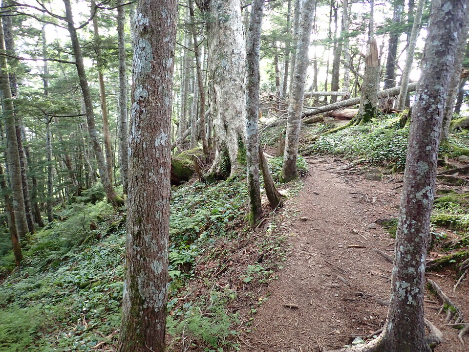 P8119111_mid.jpg