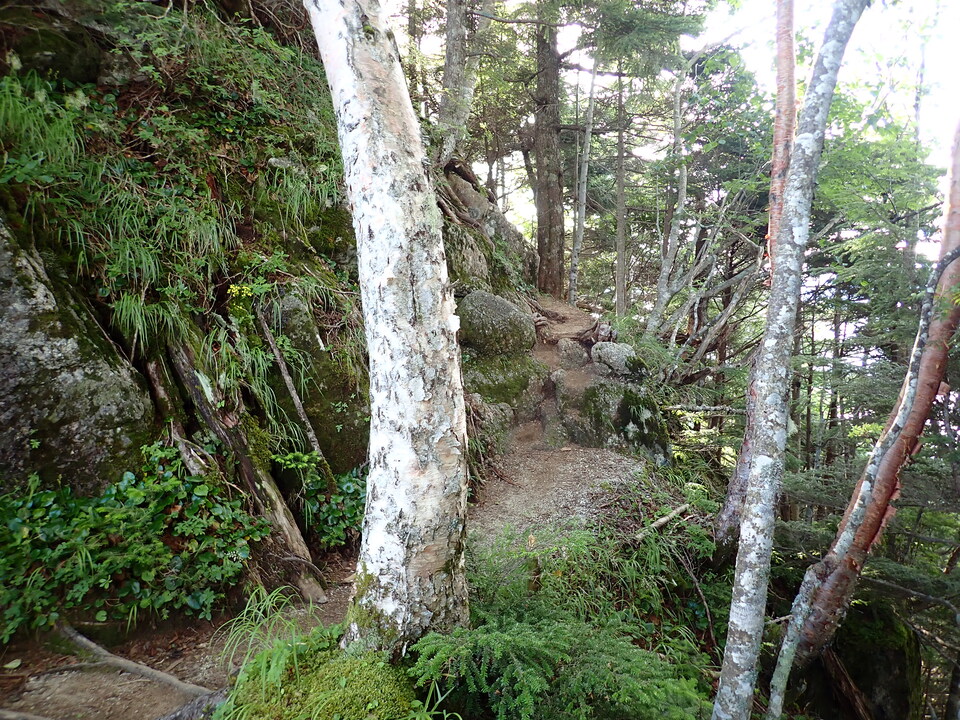 P8119137_mid.jpg