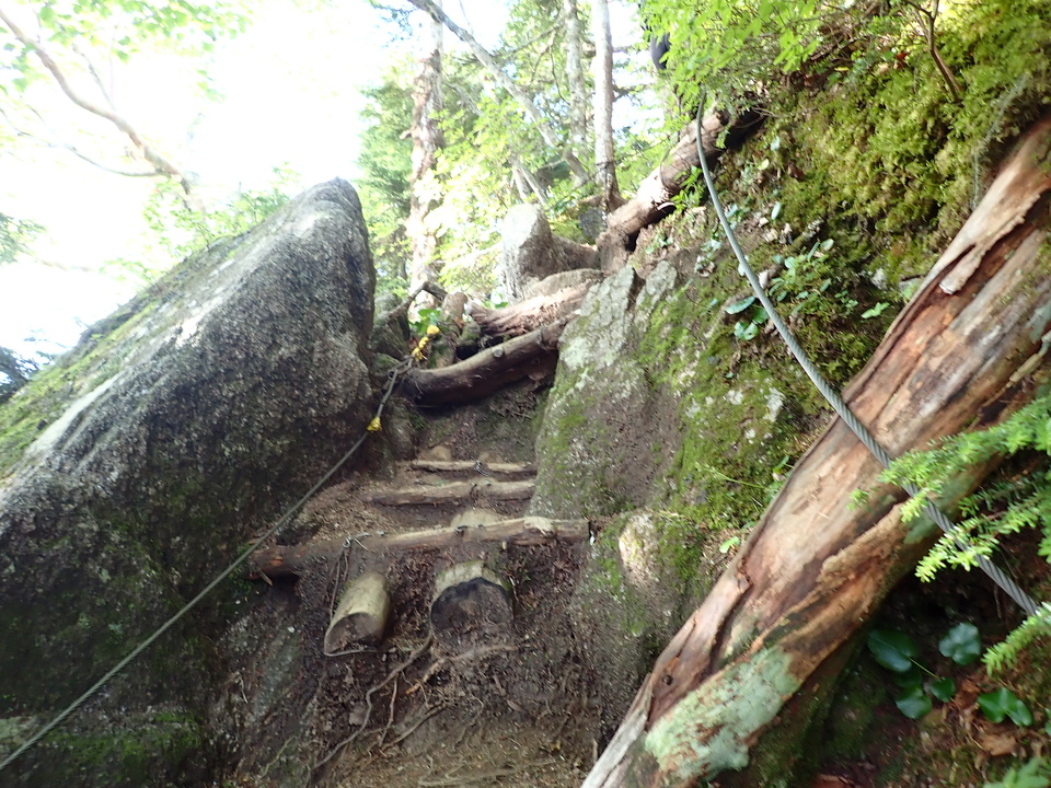 P8119138_mid.jpg