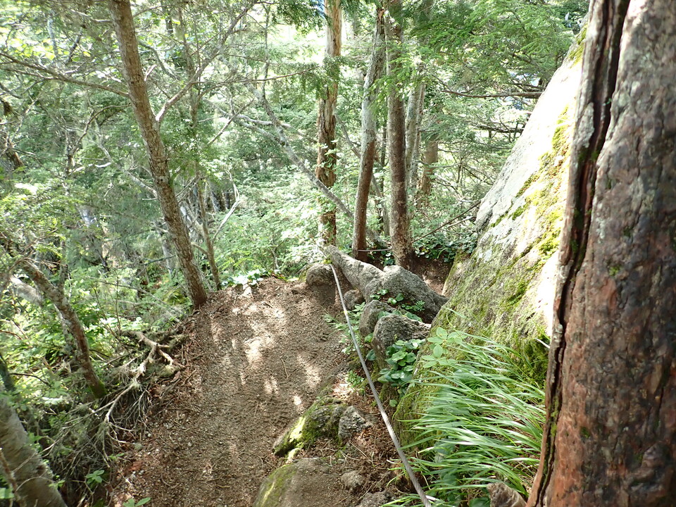 P8119141_mid.jpg