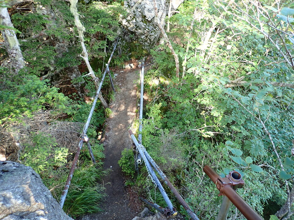 P8119142_mid.jpg