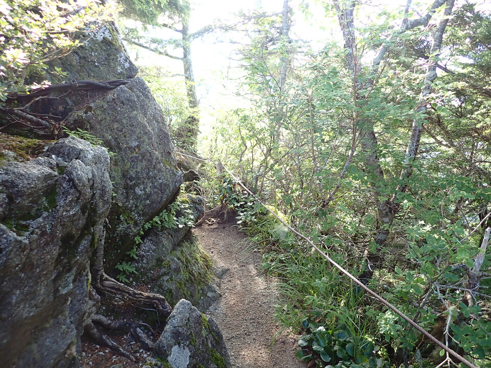 P8119144_mid.jpg