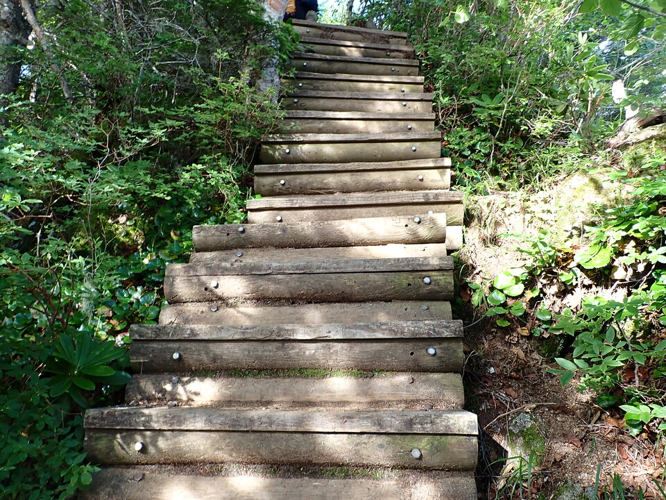 P8119145_mid.jpg