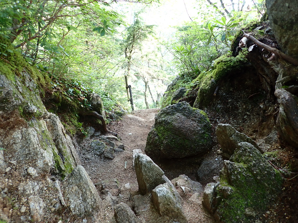 P8119146_mid.jpg