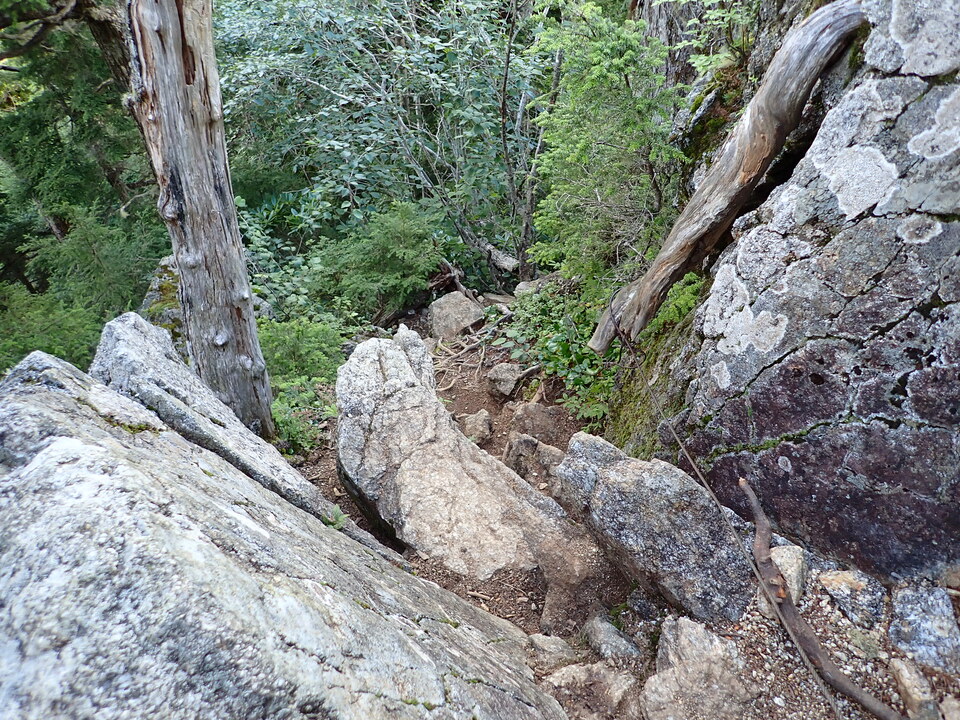 P8119149_mid.jpg