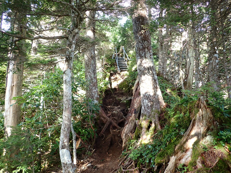 P8119158_mid.jpg