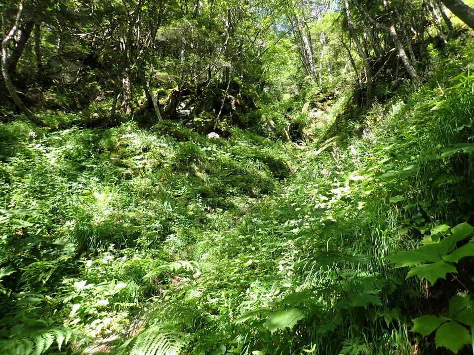 P8119168_mid.jpg
