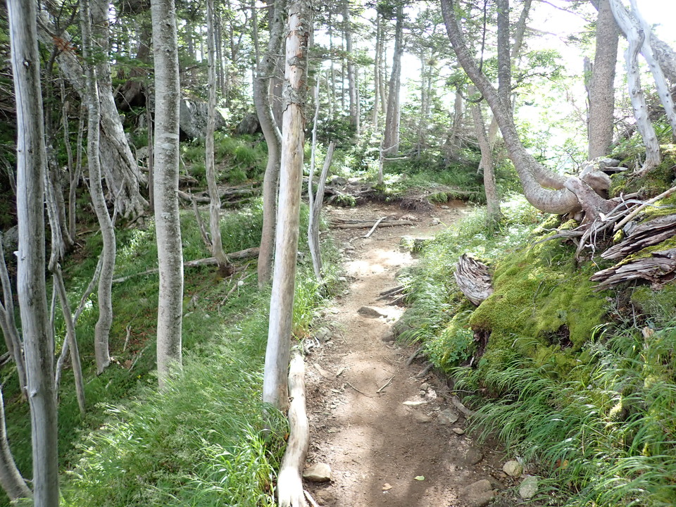 P8119207_mid.jpg
